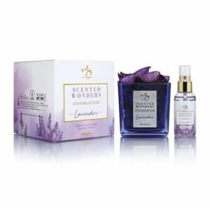 SCENTED WONDERS POTPOURRI DIFFUSER LAVENDER